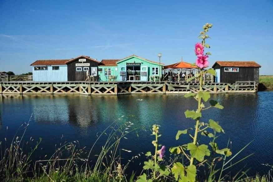 Bed and Breakfast Océan campagne liberté Aigrefeuille-dʼAunis Esterno foto